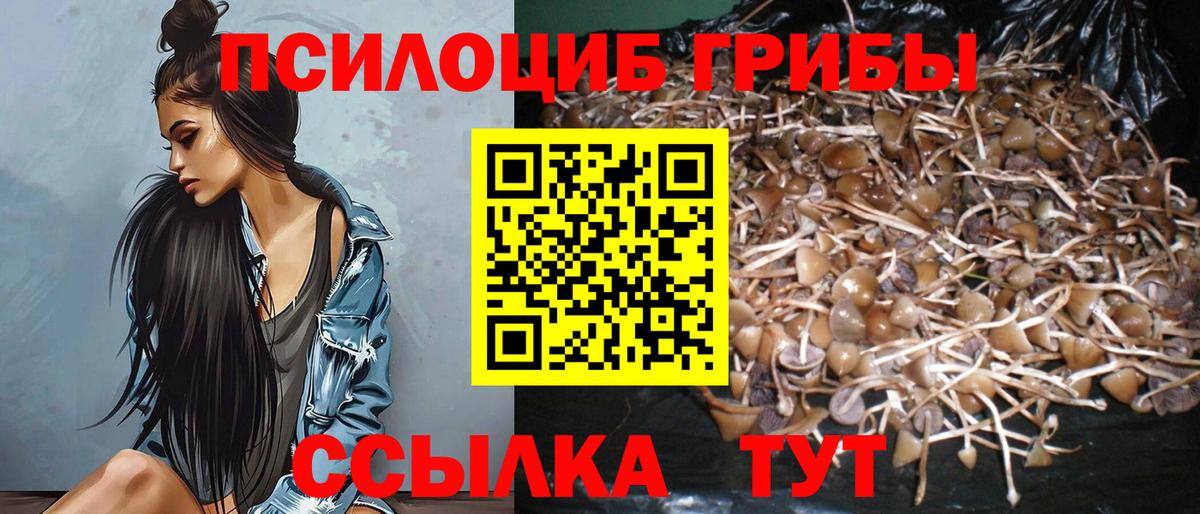 Ижевск  Псилоцибиновые грибы мицелий  Вход с VPN  Псилоцибиновые грибы GOLDEN TEACHER 